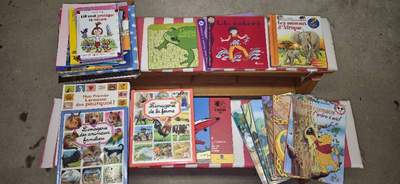 Lot de livres pour enfants