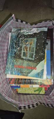 Lot de livres pour enfants